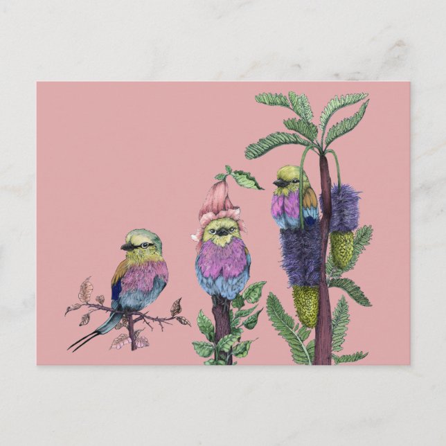 Cartão Postal Ilustração das aves africanas com aquarela rosa-br (Frente)
