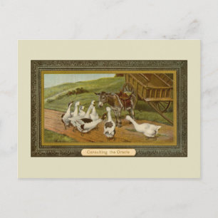 Cartão Postal Ilustração de animal vintage Consultando o Oráculo