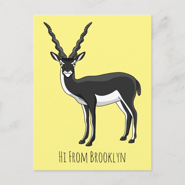Cartão Postal Ilustração de antílope Blackbuck (Frente)