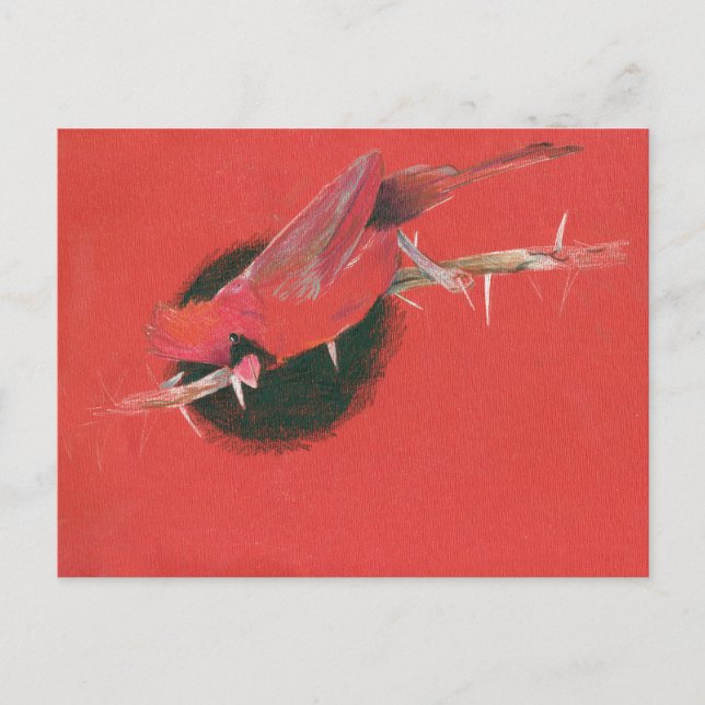 Cartão Postal Ilustração de ave cardinal desenhando preto vermel (Frente)