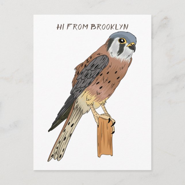 Cartão Postal Ilustração de ave do Kestrel Americano (Frente)