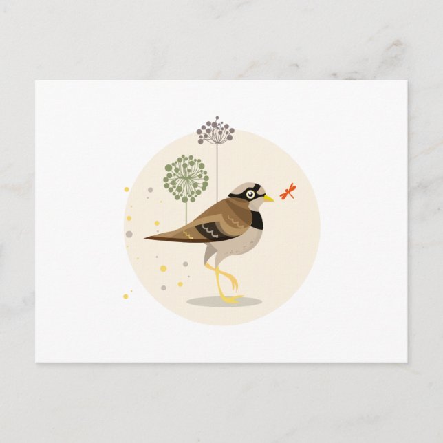 Cartão Postal Ilustração de aves - Cores de Verão (Frente)