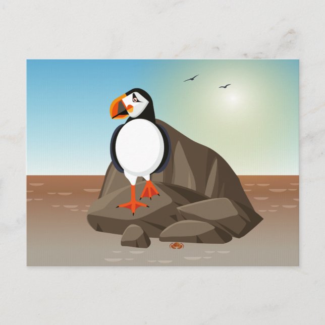 Cartão Postal Ilustração de aves - O Puffin, um pássaro marinho  (Frente)