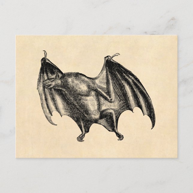 Cartão Postal Ilustração de Bat Vampiro dos anos 1800 - Hallowee (Frente)