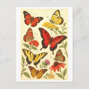 Cartão Postal Ilustração de Borboleta Amarela e Vermelha em Esti