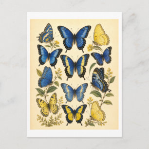 Cartão Postal Ilustração de Borboleta Azul e Amarela em Estilo V