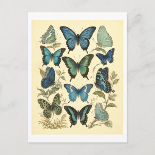 Cartão Postal Ilustração de Borboleta Azul em Estilo Vintage