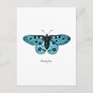 Cartão Postal Ilustração de Borboleta Azul Esverdeado Vintage - 