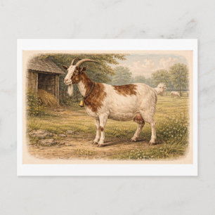 Cartão Postal Ilustração de cabra em estilo retrô