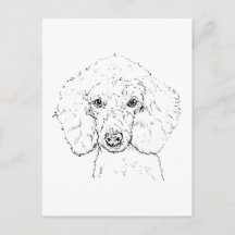 Ilustração de Cachorro Poodle Fofo, Desenhado à Mã