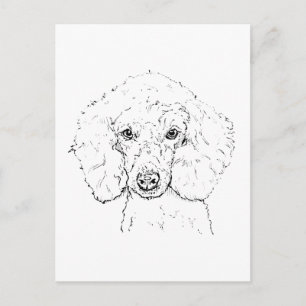 Cartão Postal Ilustração de Cachorro Poodle Fofo, Desenhado à Mã