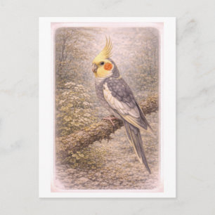 Cartão Postal Ilustração de calopsita em estilo retrô