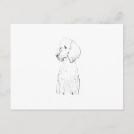 Cartão Postal Ilustração de Cão Poodle Padrão