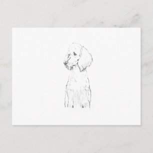 Cartão Postal Ilustração de Cão Poodle Padrão