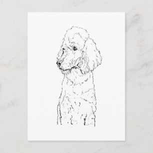Cartão Postal Ilustração de Cão Poodle Padrão - Arte em Tinta