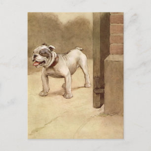 Cartão Postal Ilustração de Cãozinho de Bulldog Vintage