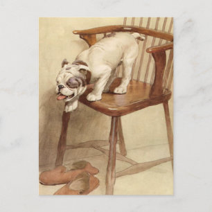 Cartão Postal Ilustração de Cãozinho de Bulldog Vintage