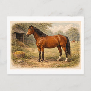 Cartão Postal Ilustração de Cavalo em Estilo Vintage