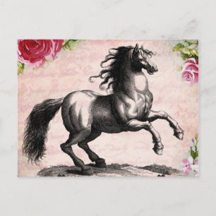 Cartão Postal Ilustração de Cavalo Vintage