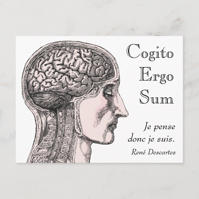 Cartão Postal Ilustração de Cogito Ergo Sum (Frente)