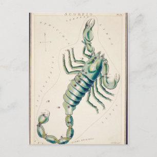 Cartão Postal Ilustração de Constelação Vintage