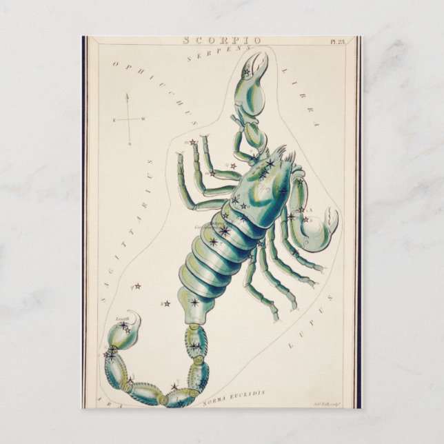 Cartão Postal Ilustração de Constelação Vintage (Frente)