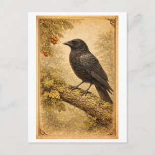 Cartão Postal Ilustração de Corvo em Estilo Vintage