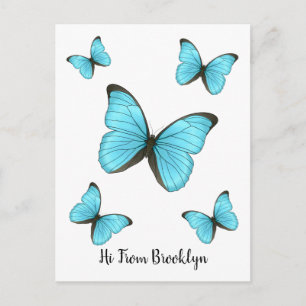 Cartão Postal ilustração de desenho animado de borboletas Morpho