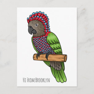 Cartão Postal Ilustração de desenho animado de papagaio de cabeç