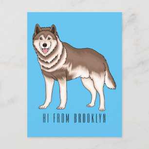 Cartão Postal Ilustração de desenho animado siberiano husky