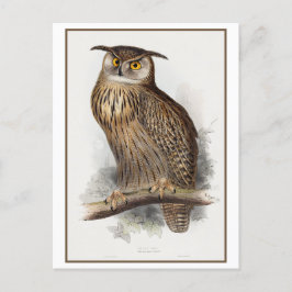 Cartão Postal Ilustração de Eagle Owl por Edward Lear