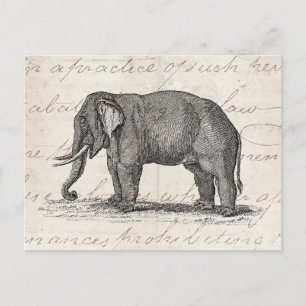 Cartão Postal Ilustração de Elefante da Vintage da década de 