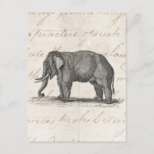 Cartão Postal Ilustração de Elefante da Vintage da década de 