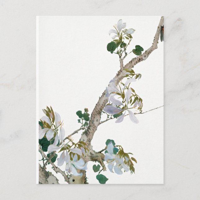 Cartão Postal Ilustração de Flores Vintage (Frente)