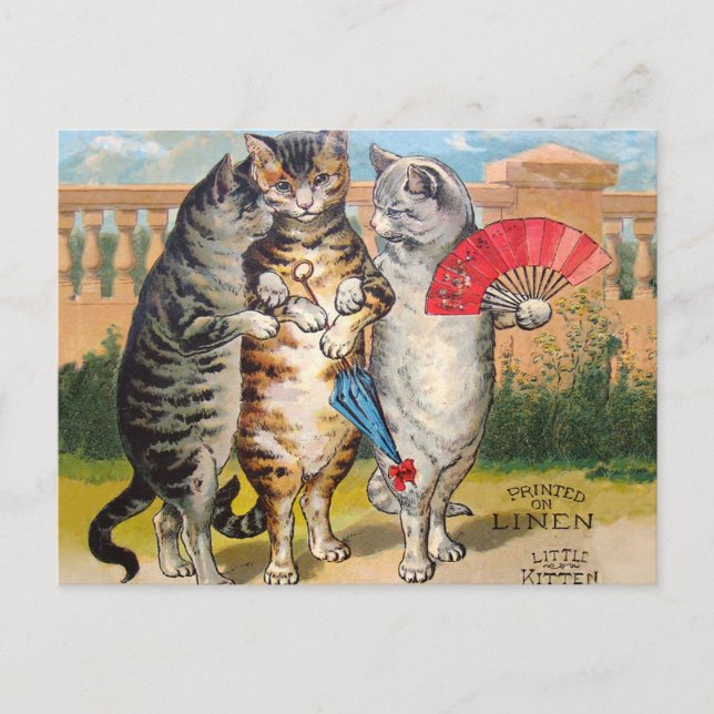 Cartão Postal Ilustração de Ganso Mãe de Três Pequenos Gatinhos (Frente)