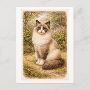 Cartão Postal Ilustração de Gato Ragdoll em Estilo Vintage
