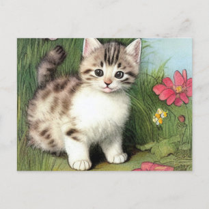 Cartão Postal Ilustração de Gato Vintage com Flores Vermelhas