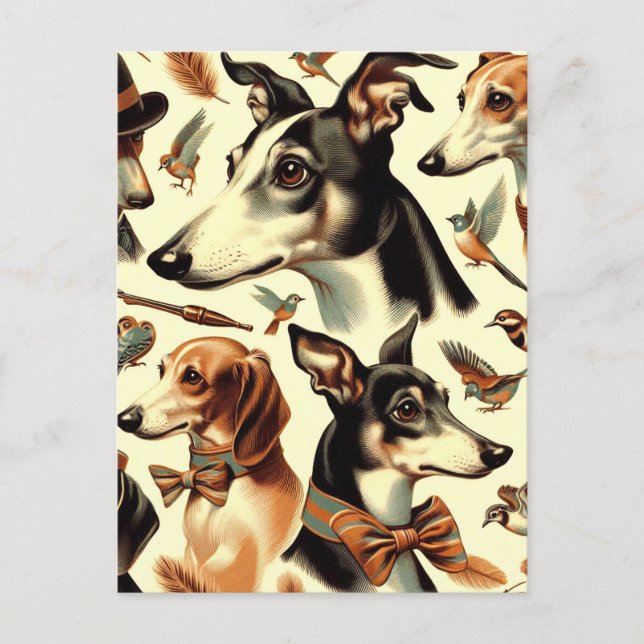 Cartão Postal Ilustração de Greyhound Italiano Vintage (Frente)