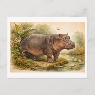Cartão Postal Ilustração de Hipopótamo em Estilo Vintage