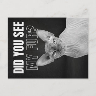 Cartão Postal Ilustração de Humor de Gato Sphynx Sarcástico