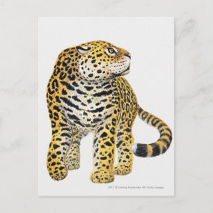 Cartão Postal Ilustração de Jaguar com perfil de cabeça