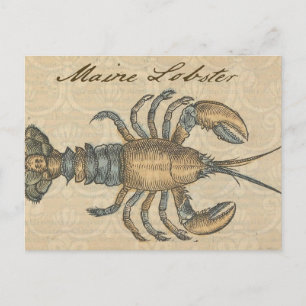 Cartão Postal Ilustração de Lagosta Madeira Antica