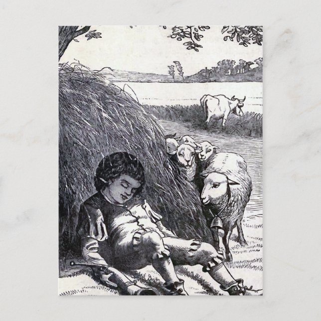 Cartão Postal Ilustração de "Little Boy Blue" (Frente)