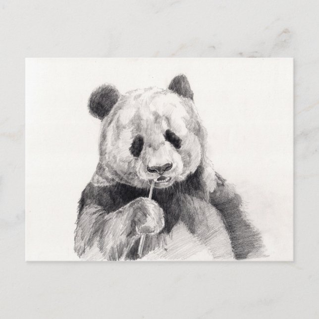 Cartão Postal Ilustração de Panda Branca e Preta (Frente)