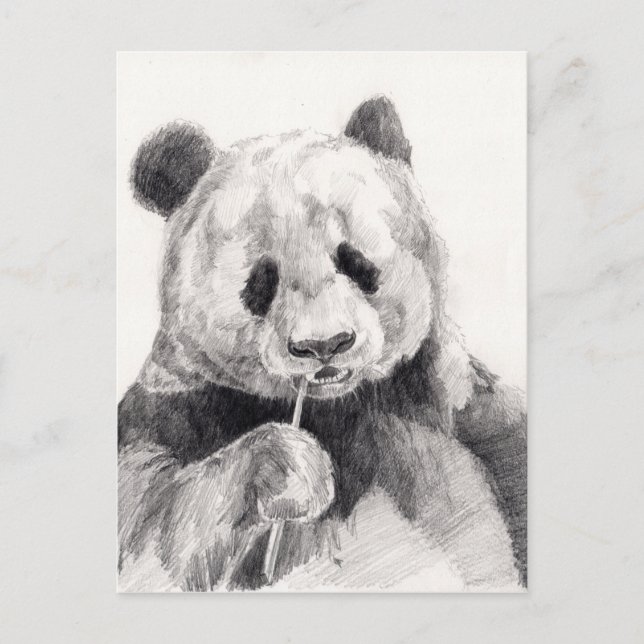 Cartão Postal Ilustração de Panda Branca e Preta (Frente)