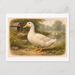 Cartão Postal Ilustração de Pato em Estilo Vintage