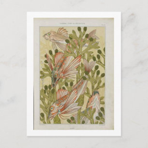 Cartão Postal Ilustração de peixes de safra