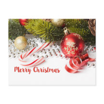 Ilustração De Ramificação De Pinheiro Verde E Lant