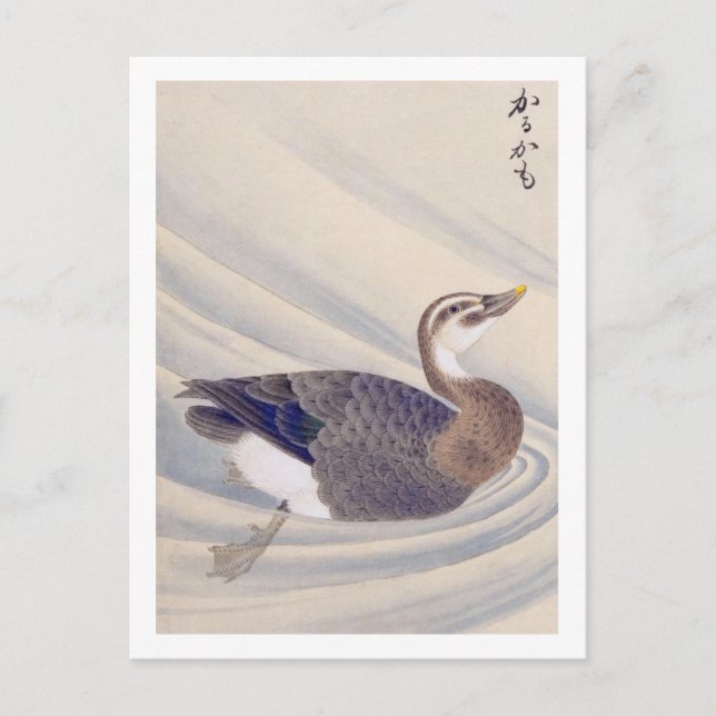 Cartão Postal Ilustração de safra: pato de bico pontual (Frente)