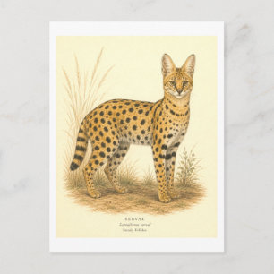 Cartão Postal Ilustração de Serval em Estilo Vintage